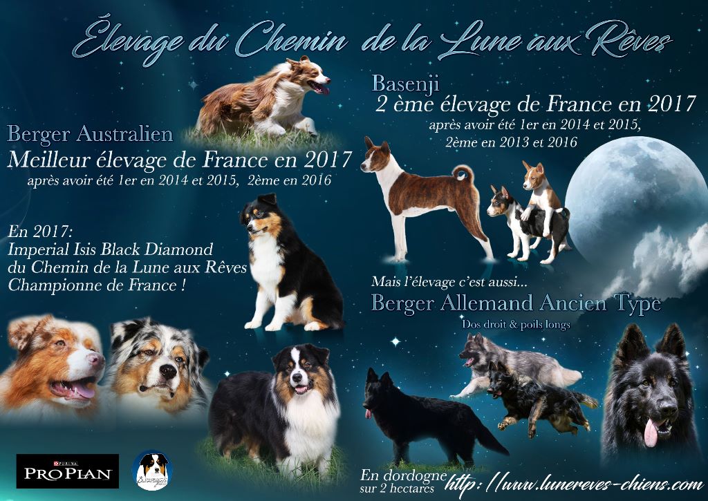 du Chemin de la Lune aux Reves - Meilleur élevage de France 2017