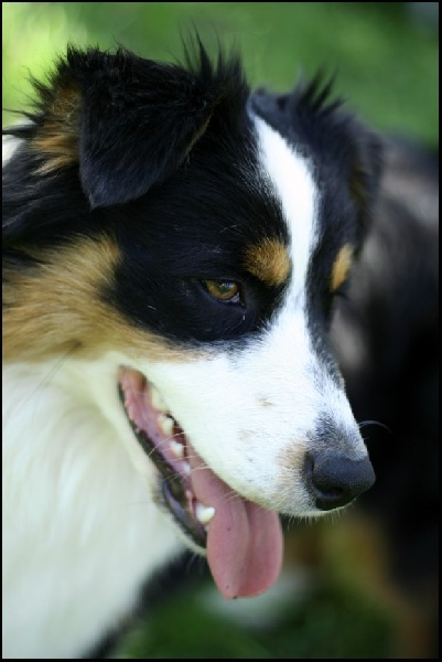 Emy lovely girl du Chemin de la Lune aux Reves