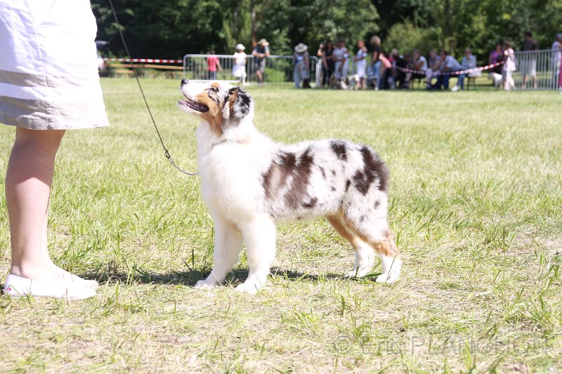 Greensleeves fender song du Chemin de la Lune aux Reves