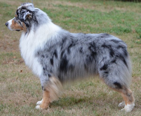 Ciel de lune rêve de la Tour Mélusine
