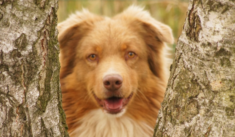 Enjoy in red du Chemin de la Lune aux Reves