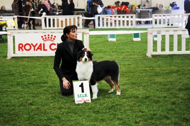 Dyvia black du Chemin de la Lune aux Reves