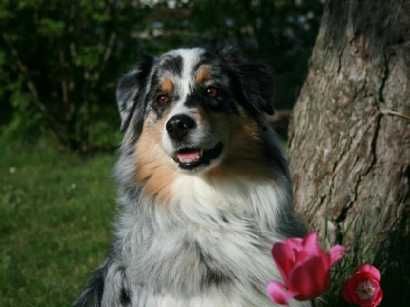 Bounty sweet du Chemin de la Lune aux Reves