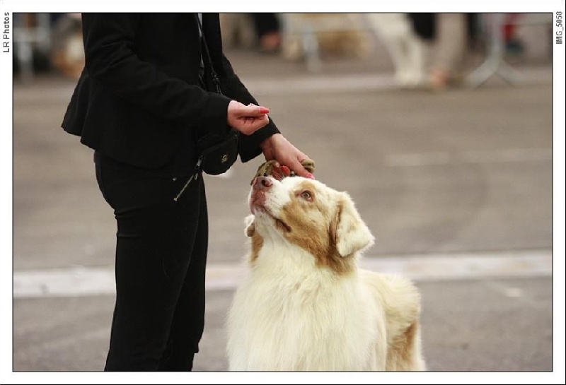 Erkos red du Chemin de la Lune aux Reves
