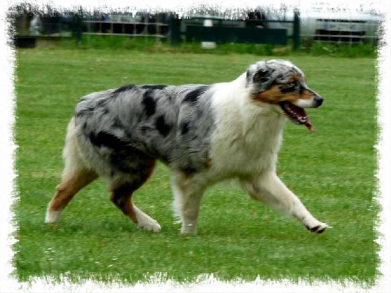 Idilic spirit du Chemin de la Lune aux Reves