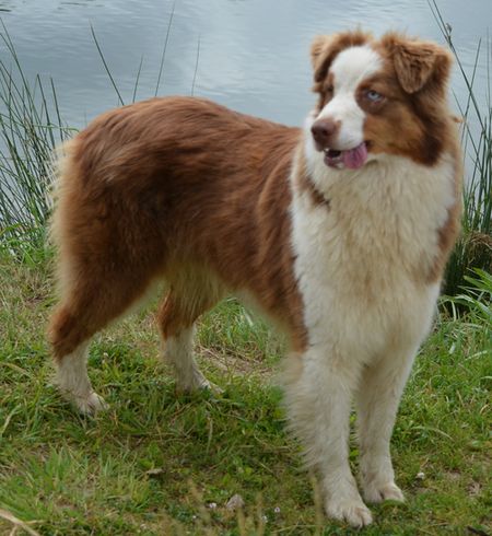 Hope and your eyes du Chemin de la Lune aux Reves