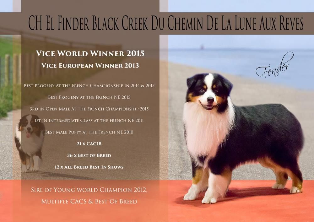 CH. El finder black creek du Chemin de la Lune aux Reves
