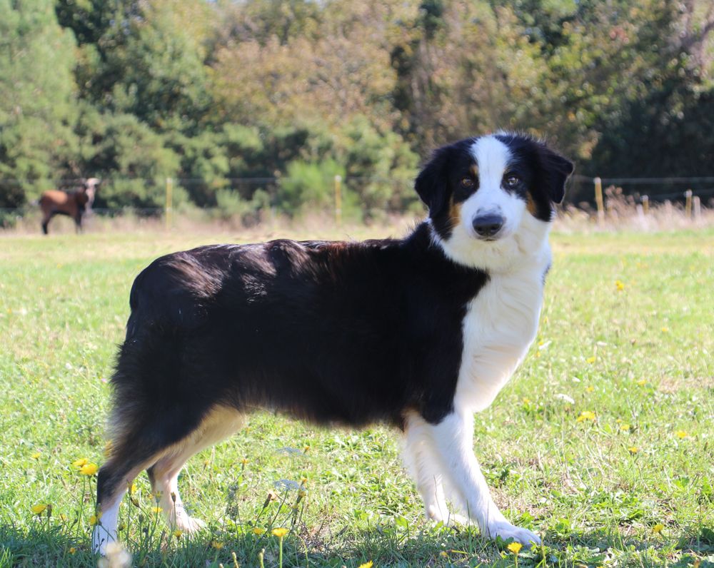 Jayanne lovely girl du Chemin de la Lune aux Reves