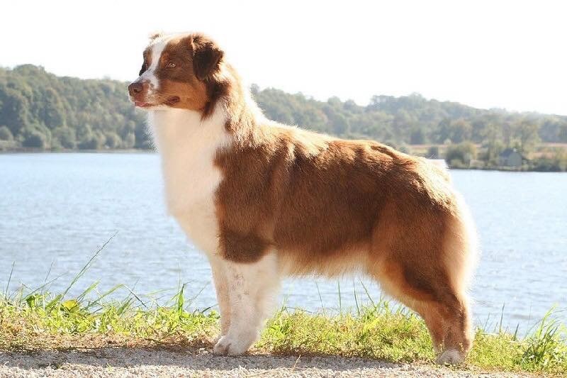 CH. Jhougnà du Chemin de la Lune aux Reves