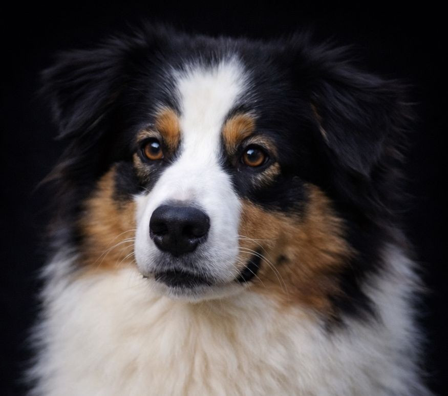 Our precious pearl du Chemin de la Lune aux Reves