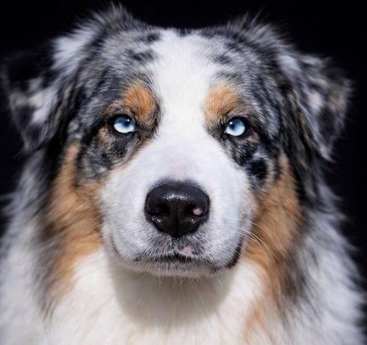 Replay blue dream with diego du Chemin de la Lune aux Reves