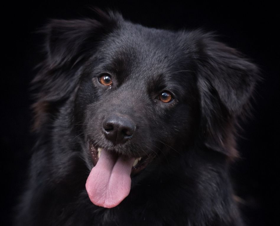 Tessa Good Spotted Paradise