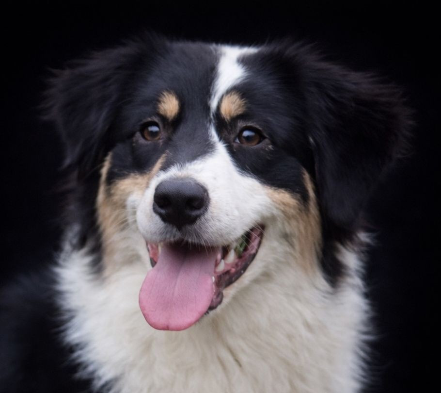 United black freedom du Chemin de la Lune aux Reves