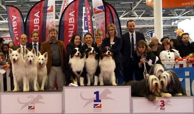 du Chemin de la Lune aux Reves - Meilleur Lot d'Affixe du Salon d'Agriculture 2015